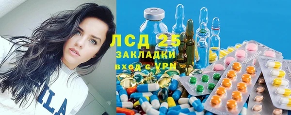 мяу мяу мука Абаза