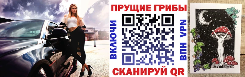 продажа наркотиков  Усмань  Псилоцибиновые грибы Psilocybine cubensis 